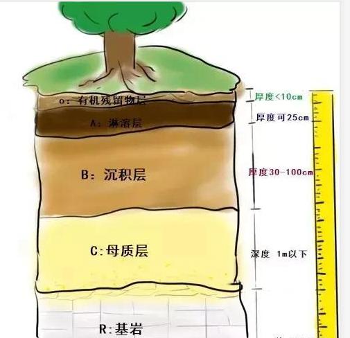 土壤污染分層